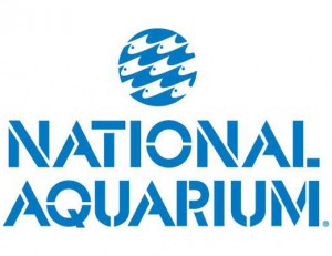 fvxnationalaquariumbaltimore1